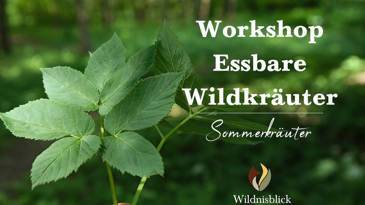 Vorschau Bild des Kurses Wildkräuter-Workshop auf Burg Satzvey - Sommerkräuter