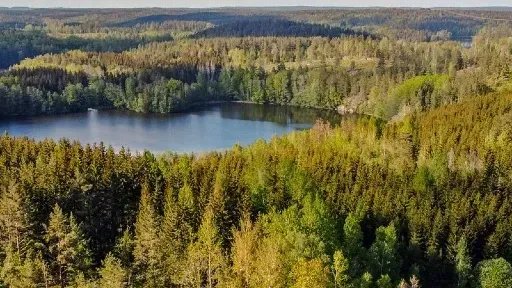 Vorschau Bild des Kurses Visionssuche