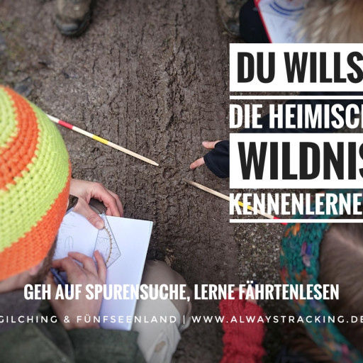 Vorschau Bild des Kurses Tiere am Wasser - Spurenlesen an der Ammer