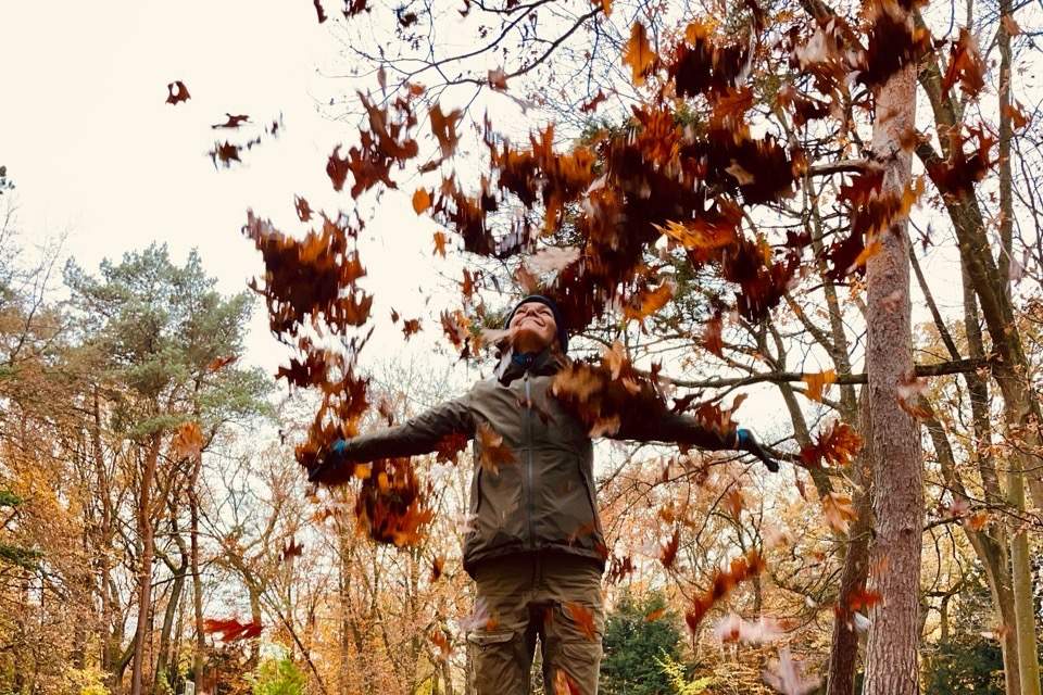 Vorschau Bild des Kurses Laubhüttenzauber - Familienbande