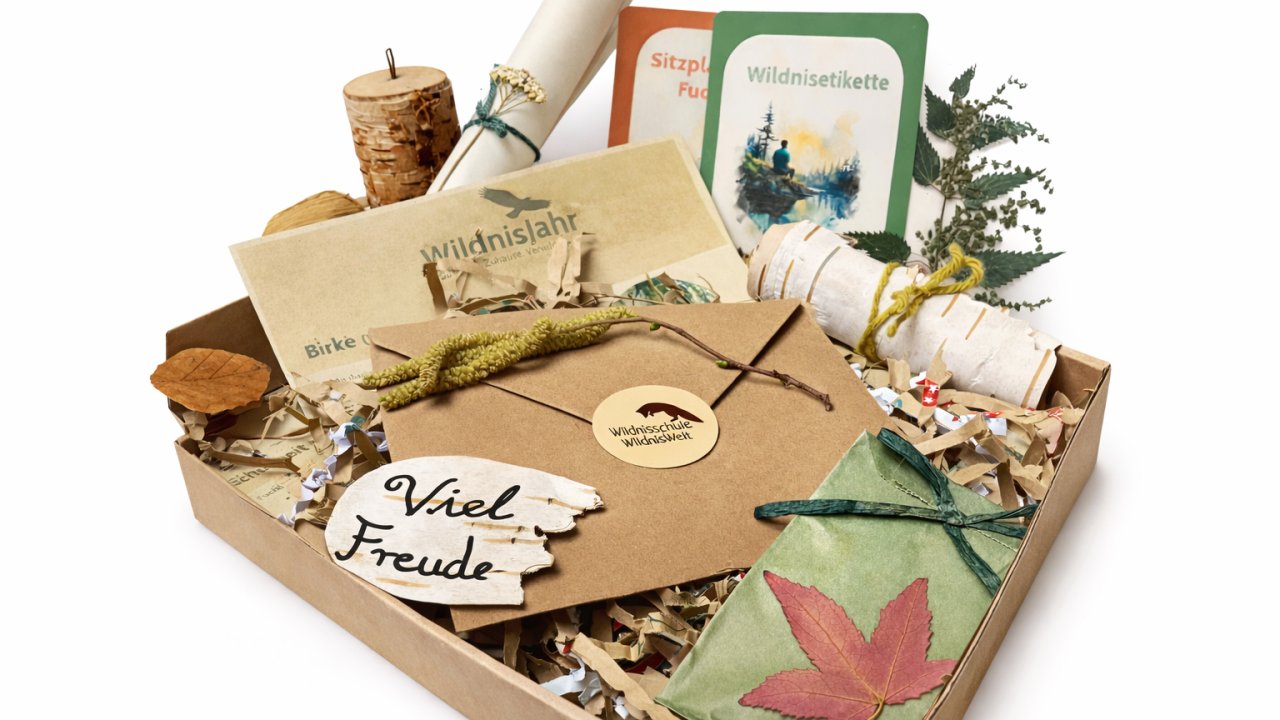 Vorschau Bild des Kurses WildnisJahr Post | Mai 2026 | Die grüne Kraft der Wildpflanzen