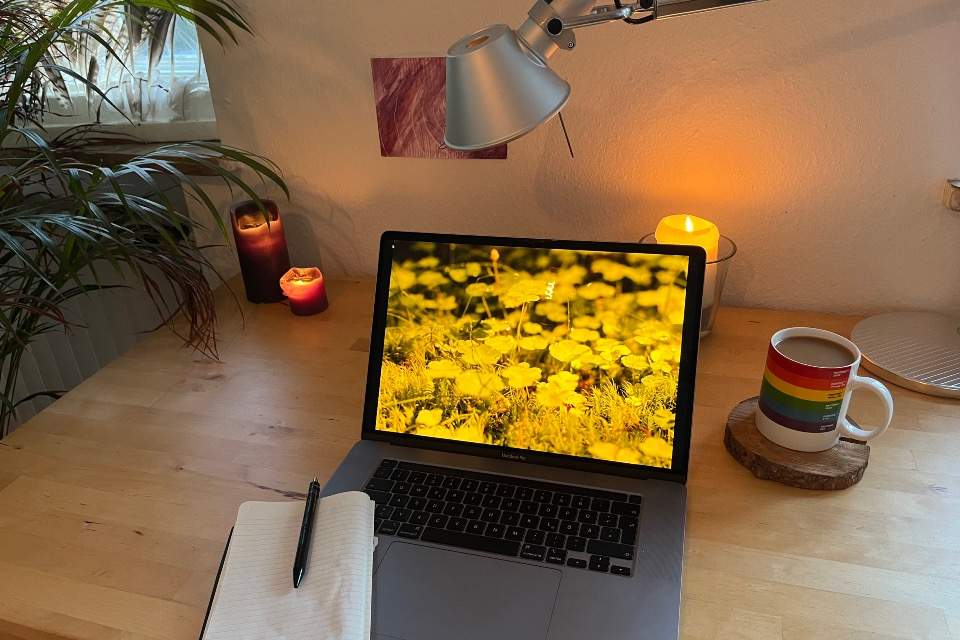 Vorschau Bild des Kurses In-House Training Digital: Geschlechterreflektierte Wildnispädagogik und Dekolonisierung