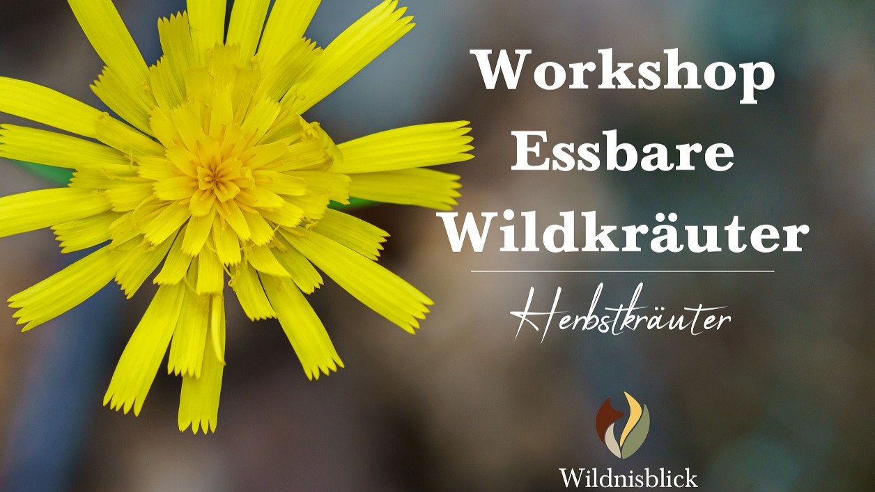 Vorschau Bild des Kurses Wildkräuter-Workshop auf Burg Satzvey - Herbstkräuter