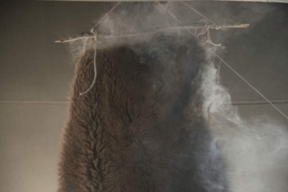 Vorschau Bild des Kurses FELLE GERBEN BASIS