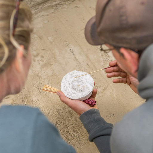 Vorschau Bild des Kurses Weiterbildung Spurenlesen