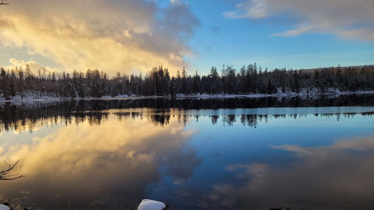 Vorschau Bild des Kurses Kaltbaden in der Wildnis