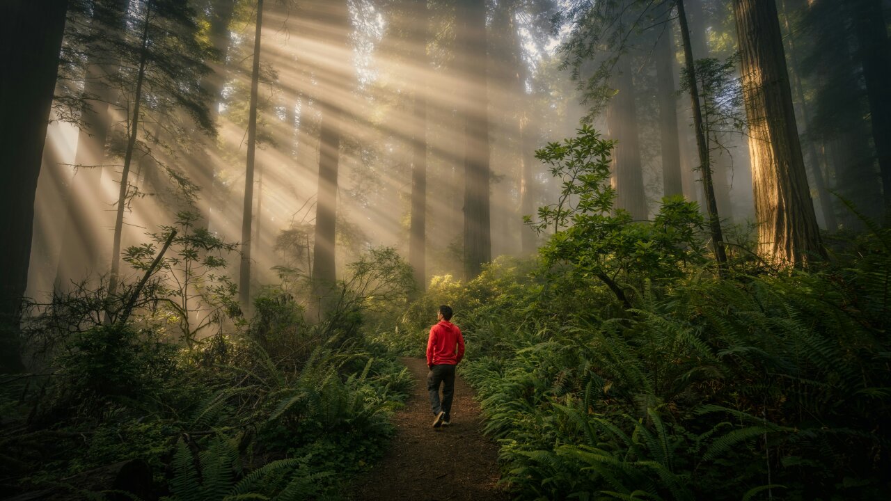 Vorschau Bild des Kurses Lehrgang The Way of the Scout