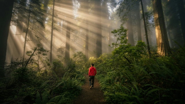 Vorschau Bild des Kurses Lehrgang The Way of the Scout