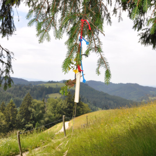 Vorschau Bild des Kurses Renewing of Vision