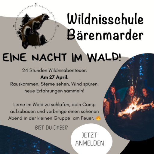 Vorschau Bild des Kurses Eine Nacht im Wald! 24 Stunden Wildnisabenteuer im Camp Bärenmarder