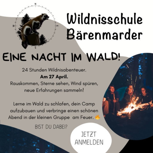Vorschau Bild des Kurses Eine Nacht im Wald! 24 Stunden Wildnisabenteuer im Camp Bärenmarder