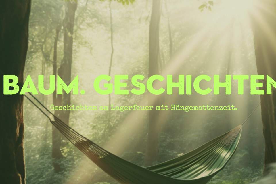 Vorschau Bild des Kurses Baum.Geschichten
