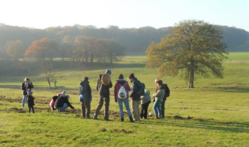 Vorschau Bild des Kurses Kleine Kräuterspaziergänge in Lingerhahn