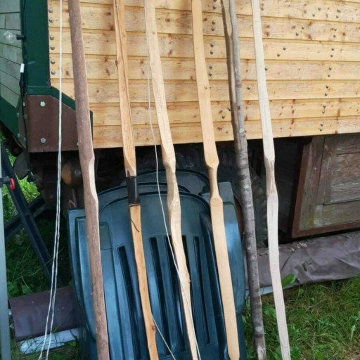 Vorschau Bild des Kurses Bogenbau