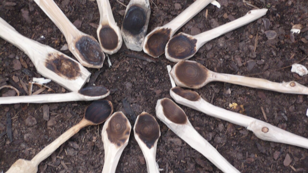 Vorschau Bild des Kurses WilderHerbst 2026
