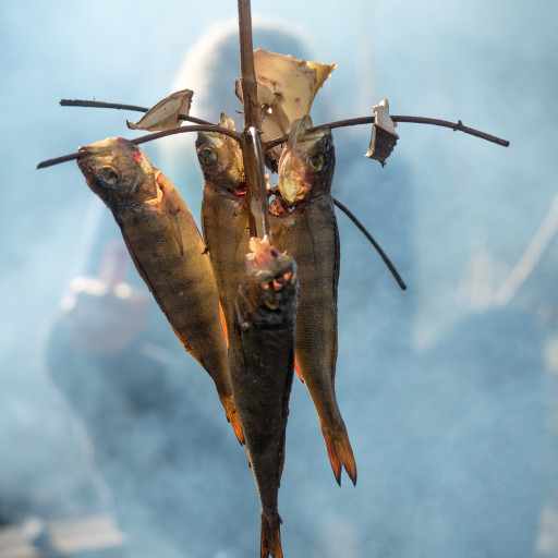 Vorschau Bild des Kurses Weiterbildung "Wildnispädagogik II"