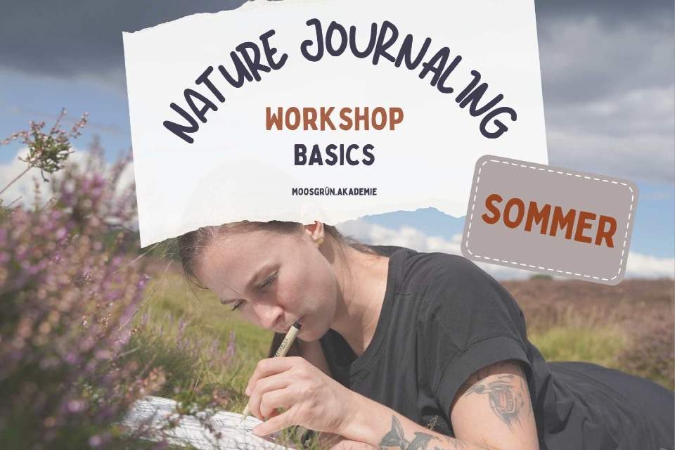 Vorschau Bild des Kurses Nature Journaling Basics Sommer