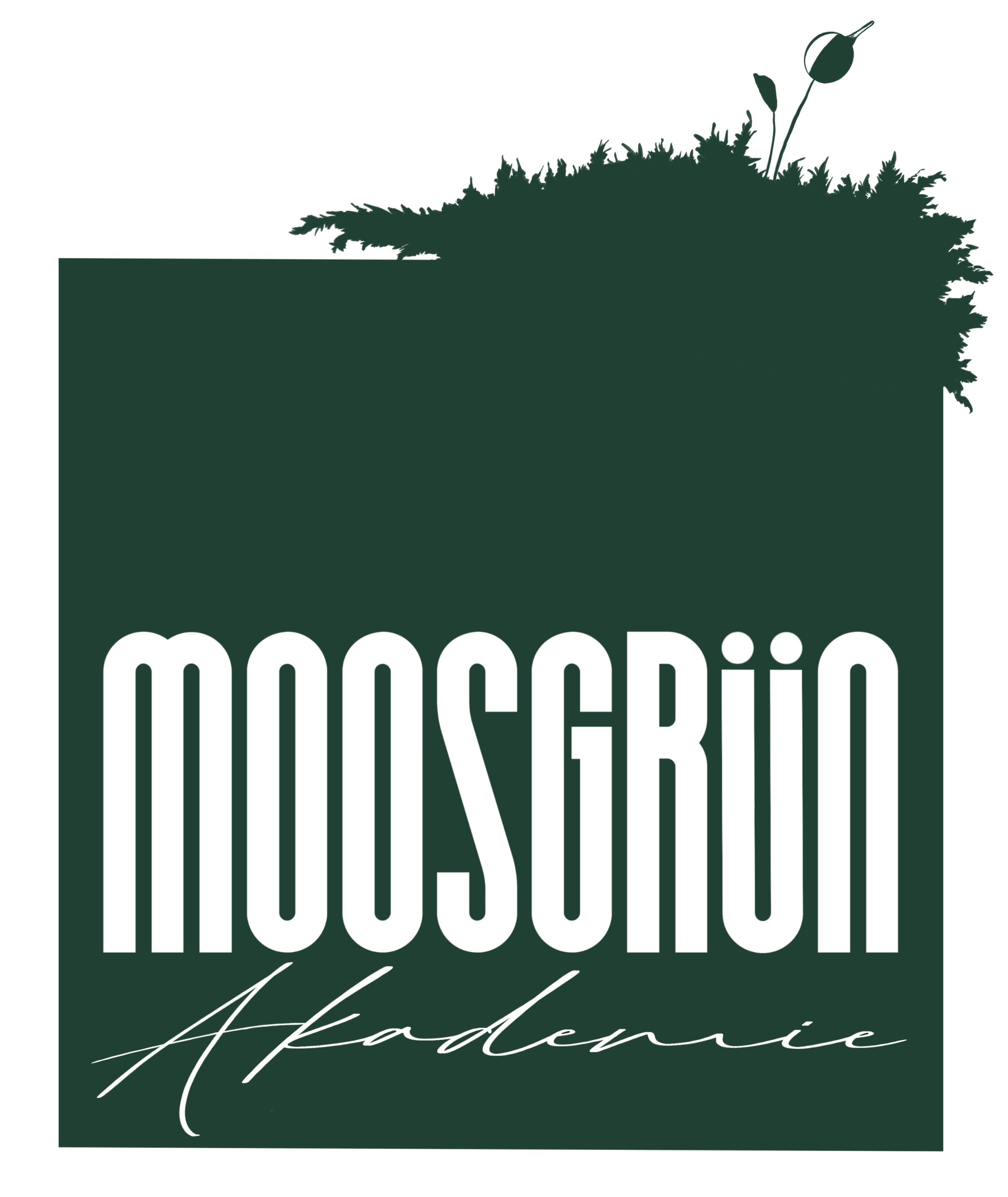 Logo der Wildnisschule moosgrün Akademie