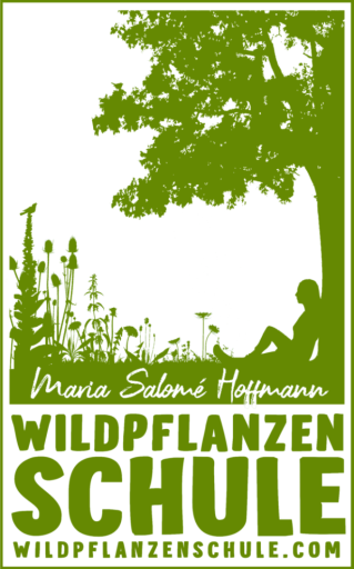 Bild von Wildnisschule-Wildpflanzenschule