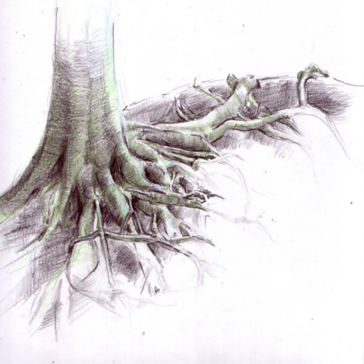 Bild von Back to the roots - Natur- und Wildnisschule