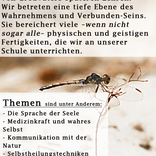 Vorschau Bild des Kurses Tempel der Seele