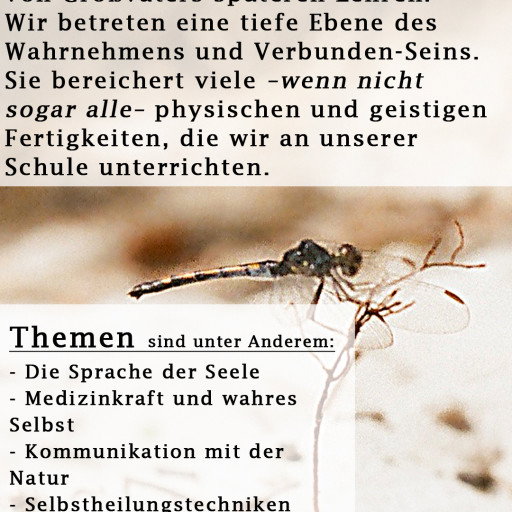Vorschau Bild des Kurses Tempel der Seele