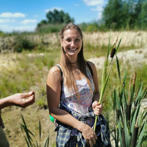 Vorschau Bild des Kurses Wildpflanzen Ausbildung