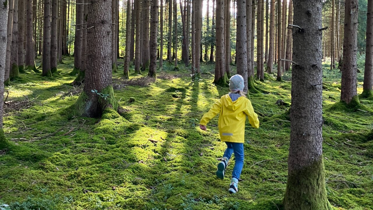 Vorschau Bild des Kurses Basiswissen Wildnispädagogik für Pädagog*innen