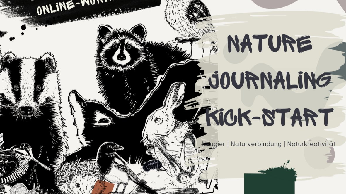 Vorschau Bild des Kurses Nature Journaling Kick-Start (Online Workshop)
