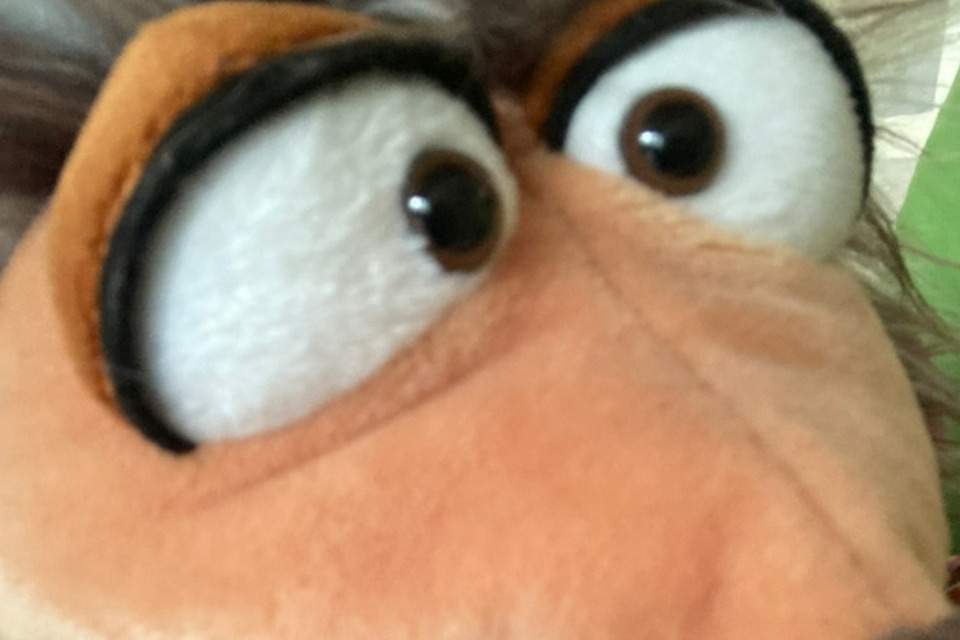 Picture of school team member Herr Waldmeister 