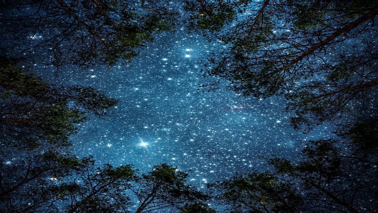 Vorschau Bild des Kurses Übergangsritual für Kinder ab 13 Jahren - Wurzeln und Flügel – Dein Weg vom Kind ins Jugendalter-