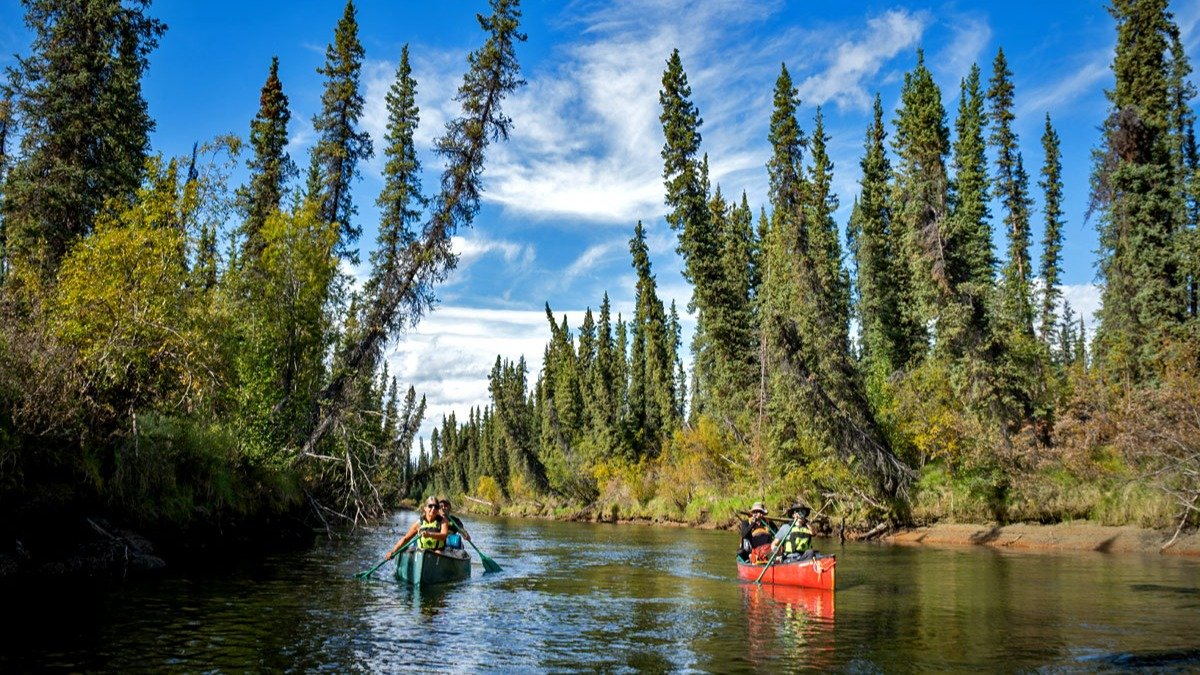 Vorschau Bild des Kurses Kanutour Yukon Kanada