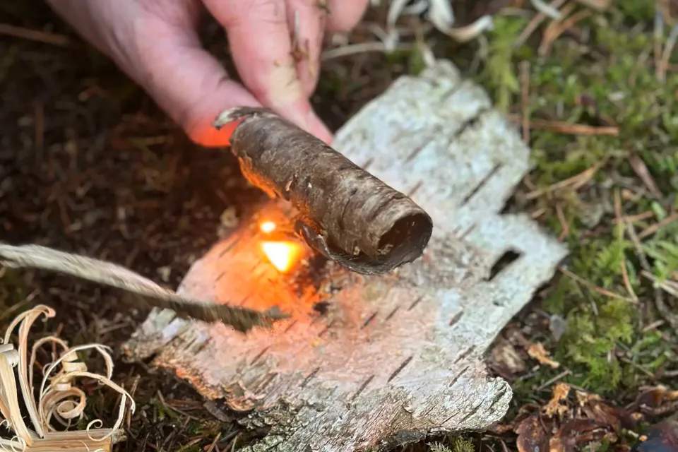 Vorschau Bild des Kurses Survival & Bushcraft Training (Basics)