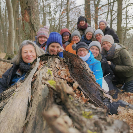 Vorschau Bild des Kurses Wildkräuterkunde Ausbildung, im Jahresrad unserer Vorfahren
