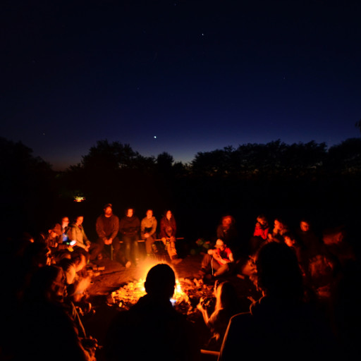 Vorschau Bild des Kurses Wildnispädagogik Ausbildung Gruppe B