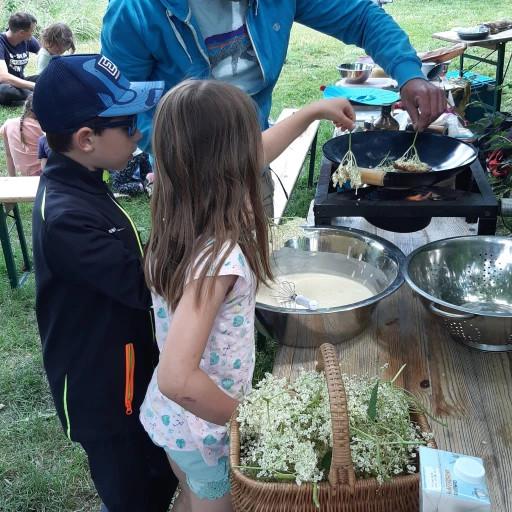 Vorschau Bild des Kurses Naturverbindungs-Tag für die Familie