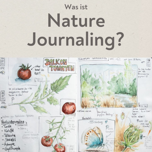 Vorschau Bild des Kurses Nature Journaling ::Anfangen::