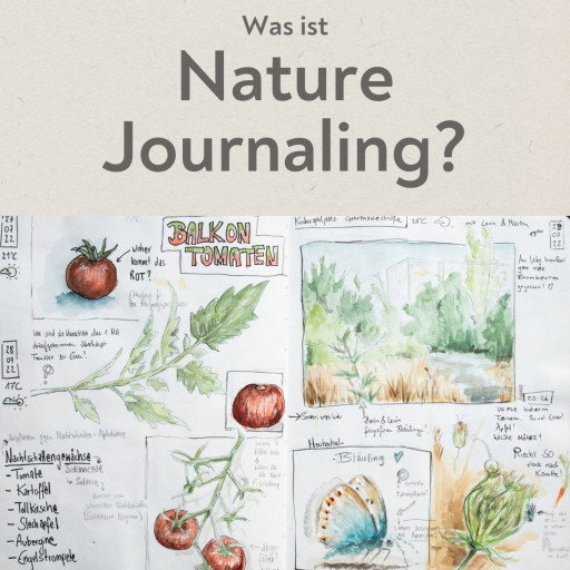 Vorschau Bild des Kurses Nature Journaling ::Anfangen::
