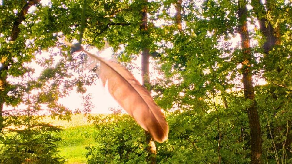 Vorschau Bild des Kurses Intuitions Camp - Teil 2: Entfaltung geistiger Fähigkeiten