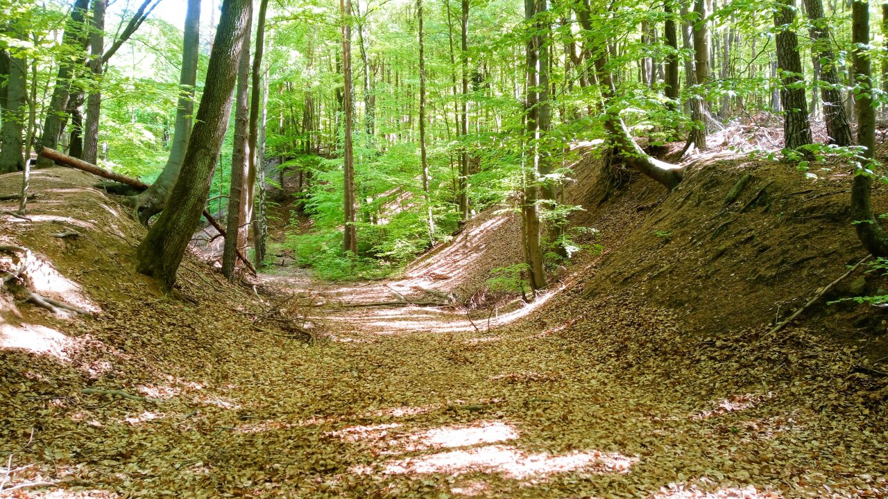 Lehrgang Wildnispädagogik + Kids