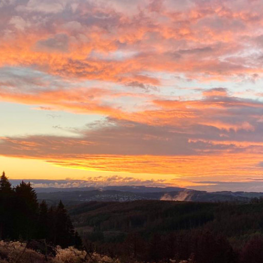 Vorschau Bild des Kurses Wilde Seele