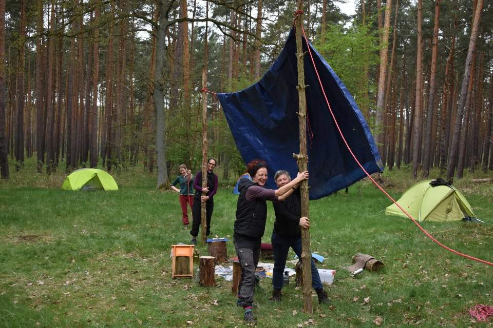 Vorschau Bild des Kurses Dein Wilder Weg