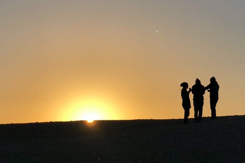 Vorschau Bild des Kurses Plattform: Queeres Naturnetzwerk