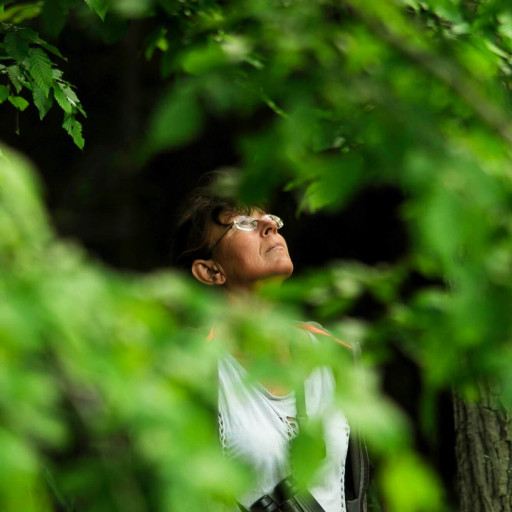 Bild des Team Mitglieds Ines Collmer