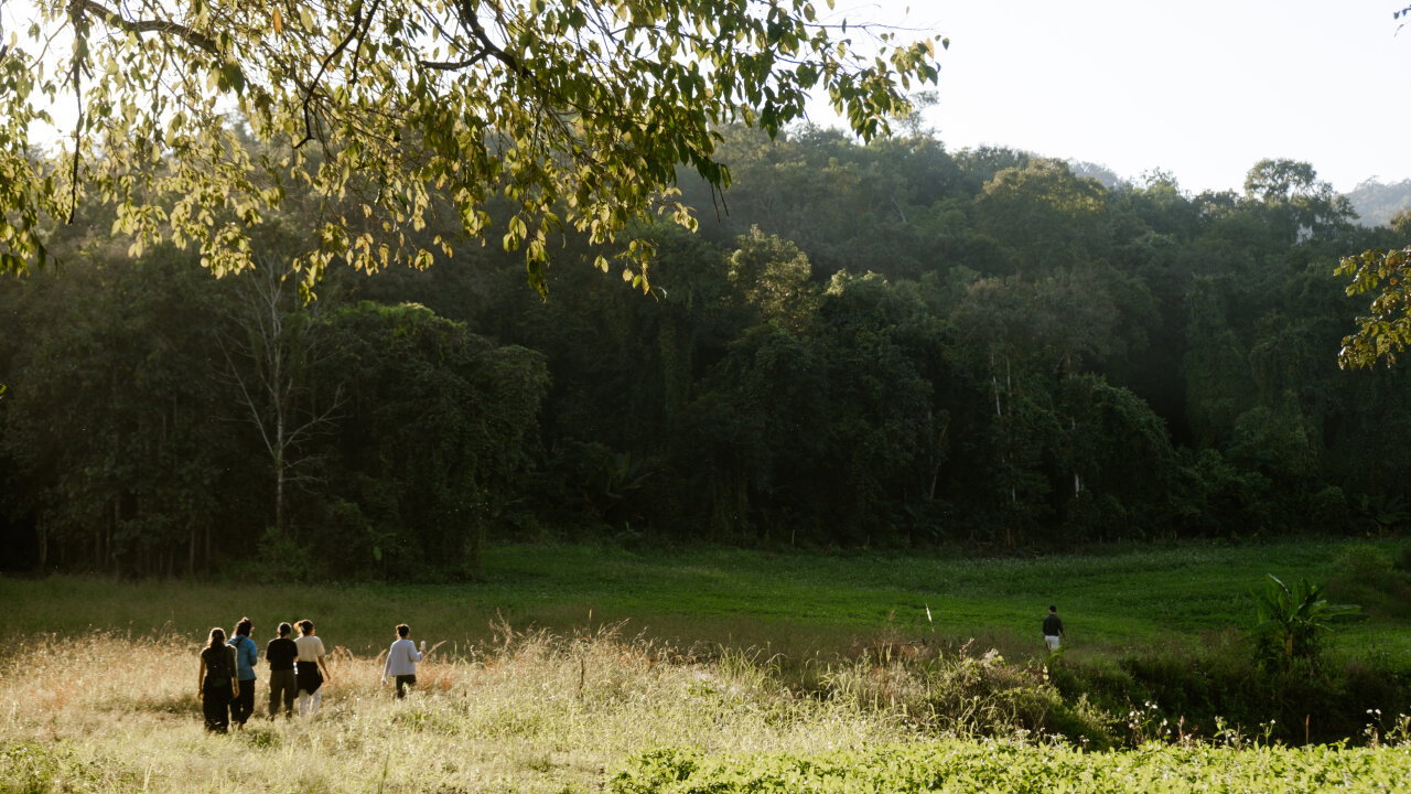 Vorschau Bild des Kurses Into Nature Through the Senses