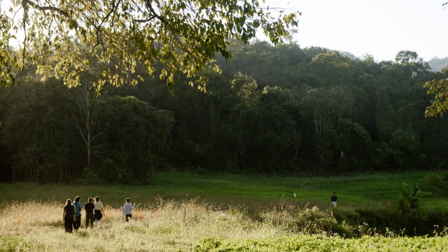 Vorschau Bild des Kurses Into Nature Through the Senses