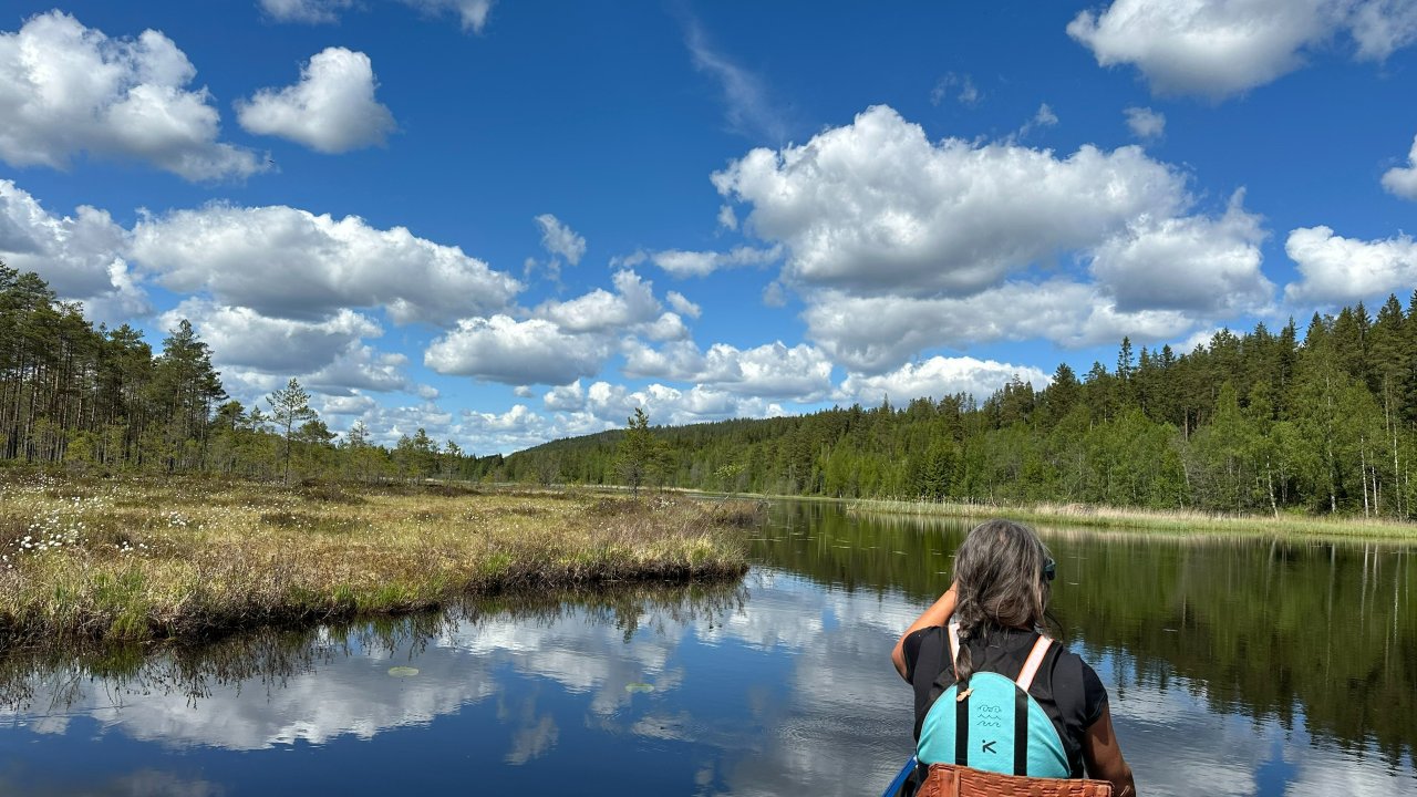 Vorschau Bild des Kurses Kanutour Schweden