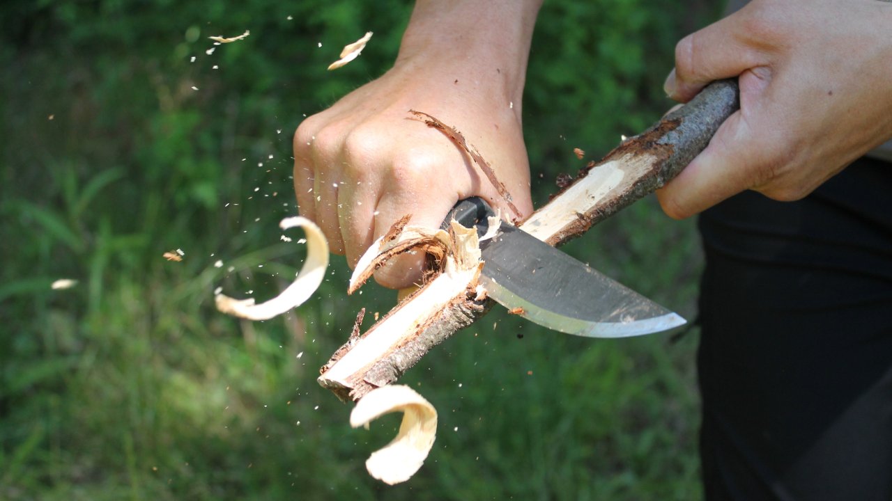 Vorschau Bild des Kurses Survival-Aspekte, Erste-Hilfe-Outdoor und Improvisiertes Abseilen