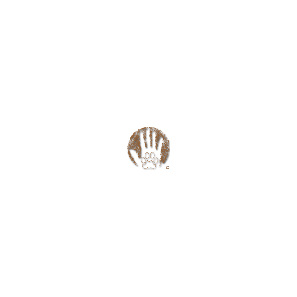 Logo der Wildnisschule The Earth Connection School