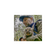 Picture of Animal Tracking – Mountain Lions – Mark Elbroch